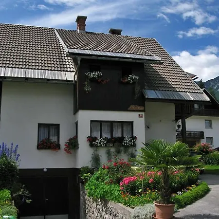 Ticar בית הארחה