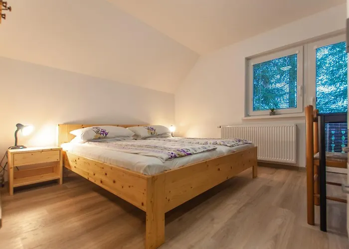 Hiša za goste Ticar Bohinj