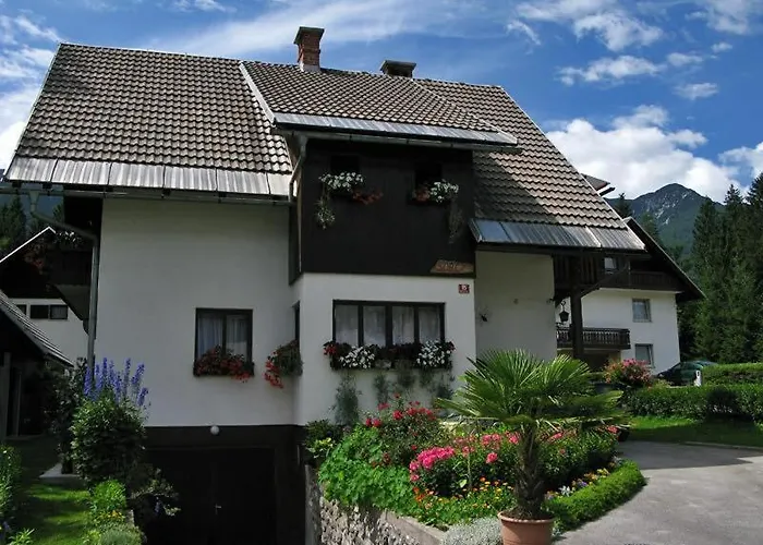 Ticar ゲストハウス